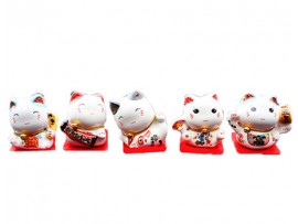 31C#LUCKY CAT(5P/BOX)CNY(9261)